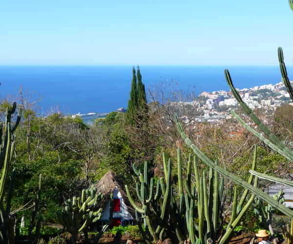 Portugal : Île de Madère