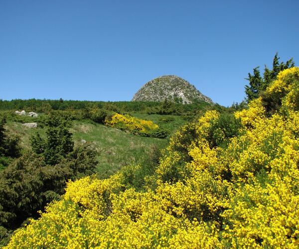 Auvergne : Massif du Mézenc
