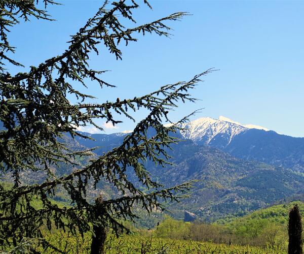 Pyrénées orientales : Randonnée et bien-être à Vernet Les Bains
