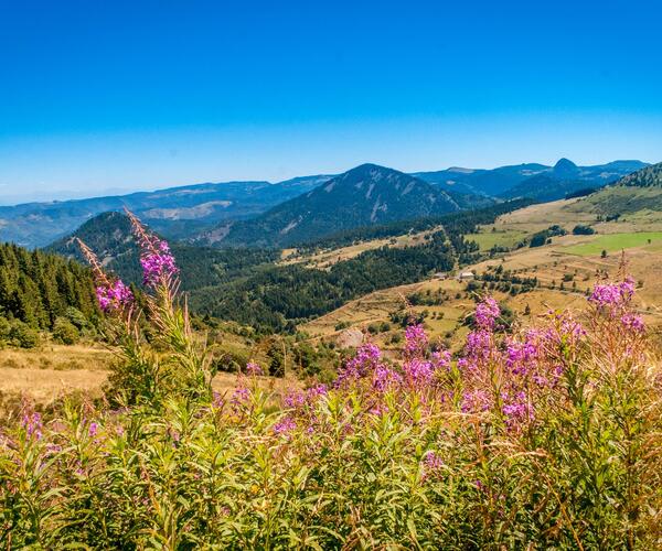 Auvergne : Massif du Mézenc