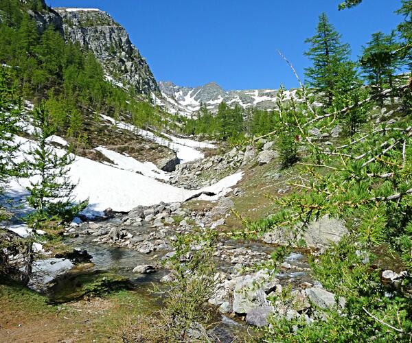 Alpes : Bien-être et Mercantour