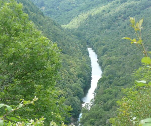 Tarn : Vallée du Viaur