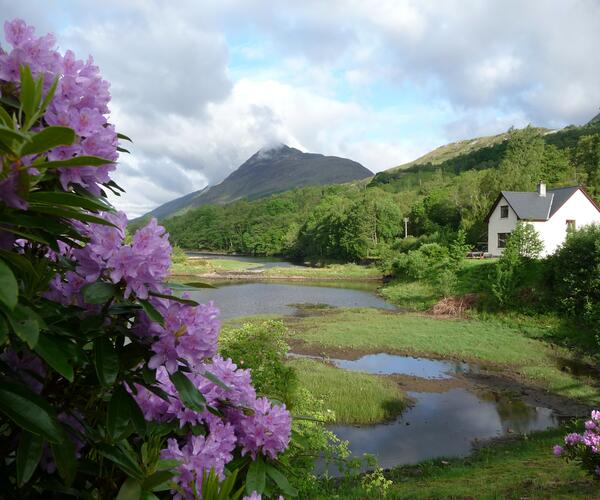 Ecosse : The West Highland Way