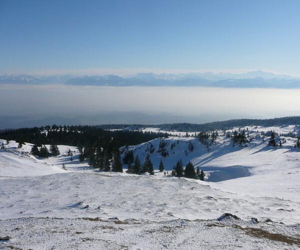 Jura : Raquettes et détente dans le Jura