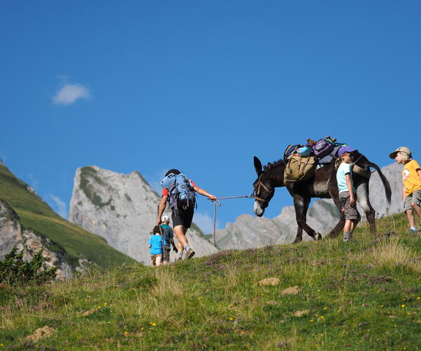 Le tour du Val d&#039;Azun en famille avec un âne