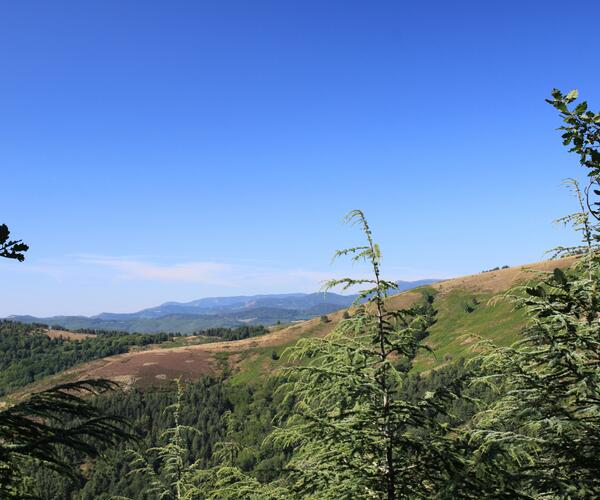 Chasseradès - Saint Jean du Gard