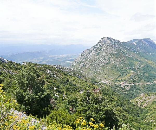 Pyrénées : Le Pays Cathare à vélo