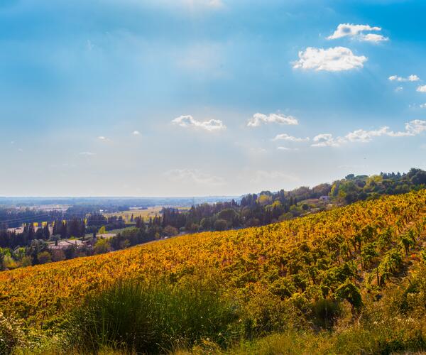 Le Chemin de Régordane : du Puy-en-Velay à Saint-Gilles-du-Gard
