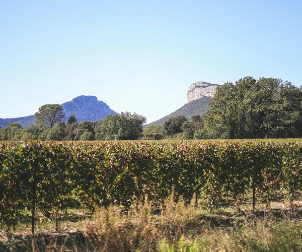 Séjour réveillon à Montpellier