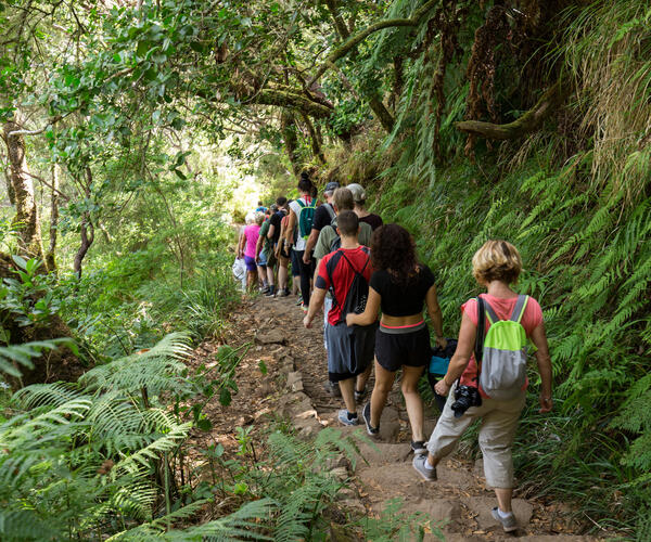 Portugal : Île de Madère
