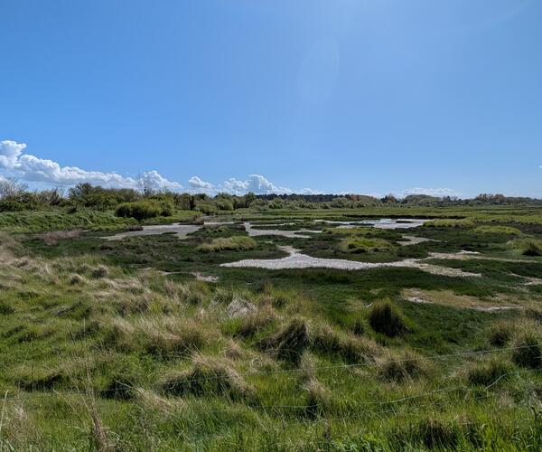 Normandie : La côte de Grâce et la côte Fleurie