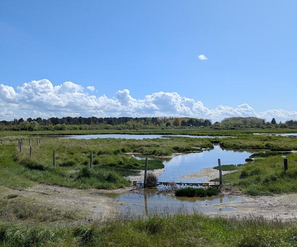 Normandie : La côte de Grâce et la côte Fleurie