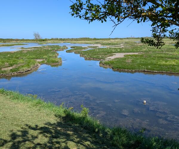 Normandie : La côte de Grâce et la côte Fleurie