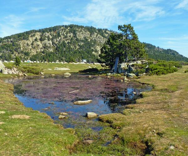 Pyrénées : séjour &quot;eau de forme&quot; en Cerdagne