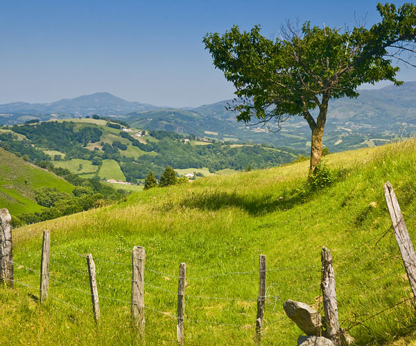 Le meilleur du Pays Basque