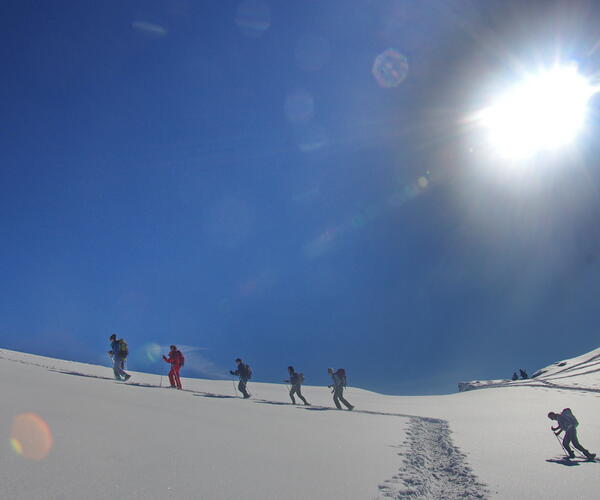 Alpes : Vercors au pays des 4 montagnes en raquettes