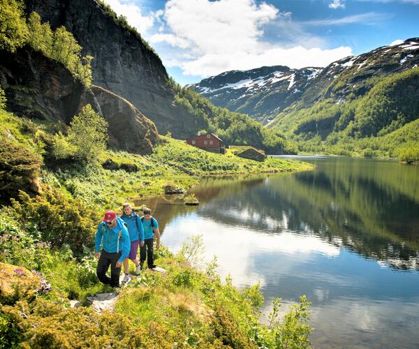 La Norvège : Fjords, Villes et Montagnes du Sud Norvégien