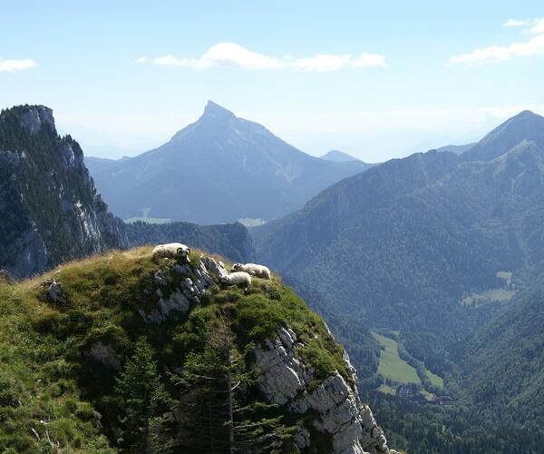 Alpes : Tour de la Chartreuse