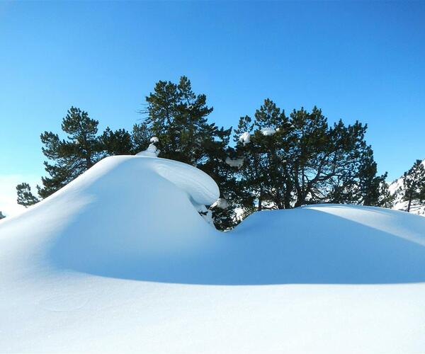 Séjour Réveillon raquettes à Cauterets - Pont d&#039;Espagne : &quot;Les Neiges du Parc National&quot;