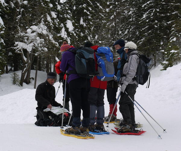 Séjour Réveillon Vercors sauvage