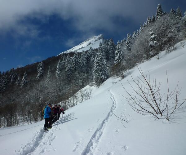 Alpes : Raquettes et balnéo dans le Parc de Chartreuse