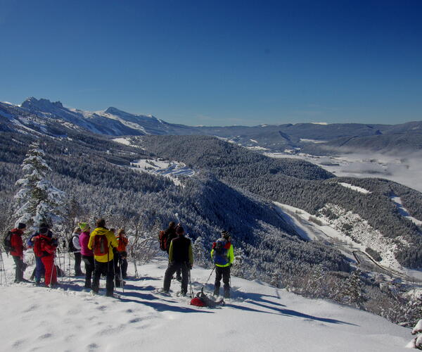 Alpes : Vercors au pays des 4 montagnes en raquettes