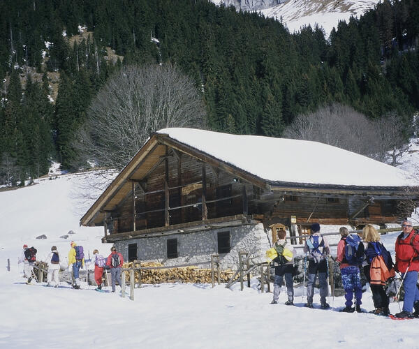 Alpes : Raquettes et bien-être au pays du Léman