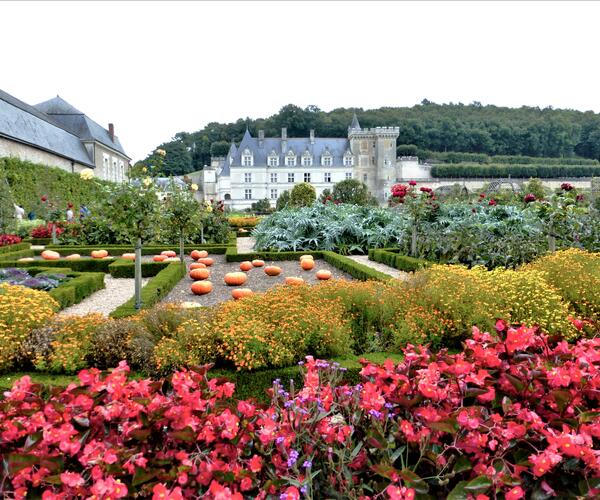 Châteaux de la Loire : Amboise - Azay le Rideau