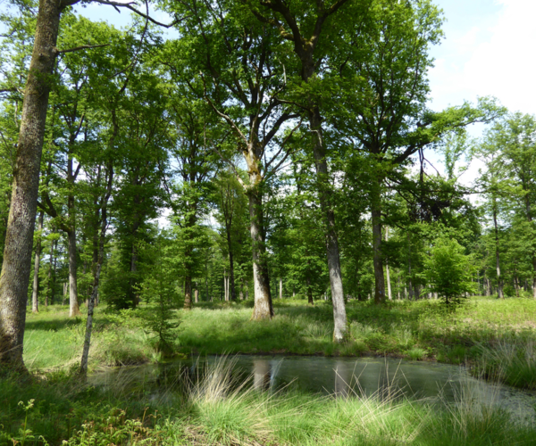 De Châteauroux à La Souterraine