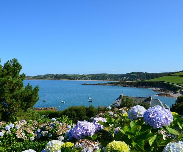 Normandie - Cotentin : De Portbail à Hauteville sur Mer