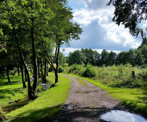 Le Luxembourg : Le Grand Duché du Luxembourg