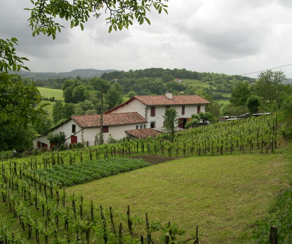 Aire sur L&#039;Adour - Saint Jean Pied de Port