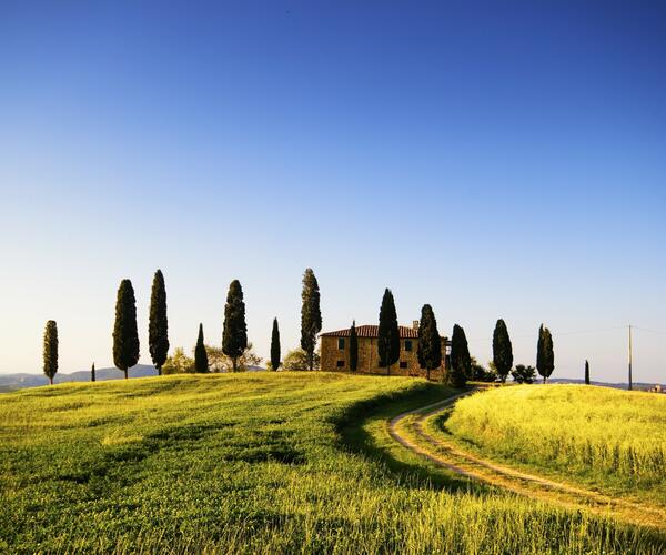 Italie : La Toscane