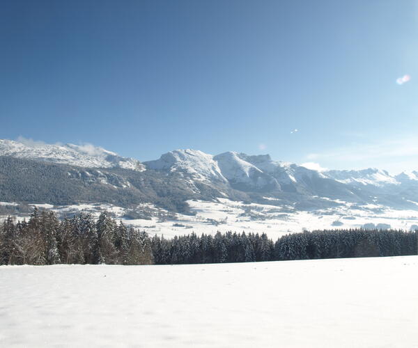 Alpes : Vercors au pays des 4 montagnes en raquettes