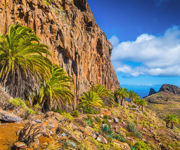 Espagne Canaries : L&#039;île de la Gomera