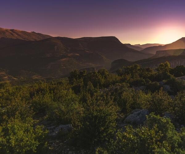 Alpes de Haute-Provence : Les gorges du Verdon