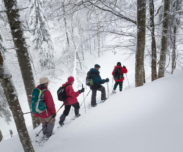 Jura : La grande traversée à raquettes