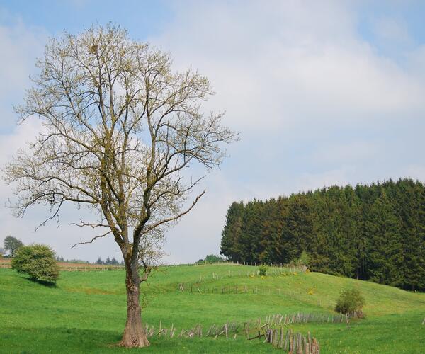 Le Luxembourg : Le Grand Duché du Luxembourg