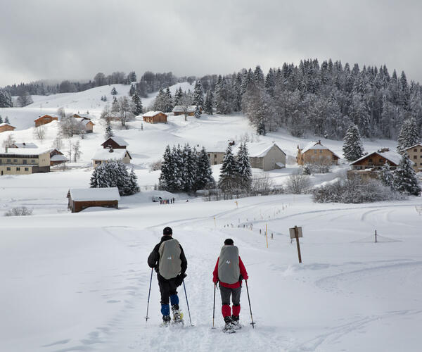 Jura : La grande traversée à raquettes