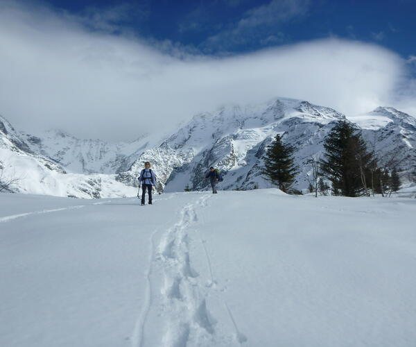 Alpes : Raquettes au Pays du Mont-Blanc