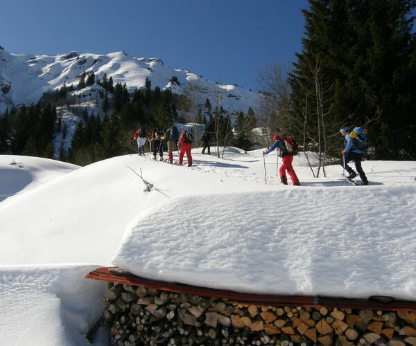 Alpes : Raquettes au Pays du Mont-Blanc