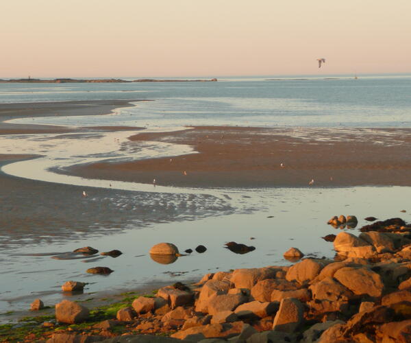 Normandie - Cotentin : De Portbail à Hauteville sur Mer