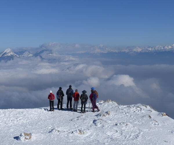 Alpes : Vercors, les essentiels du tour en raquettes