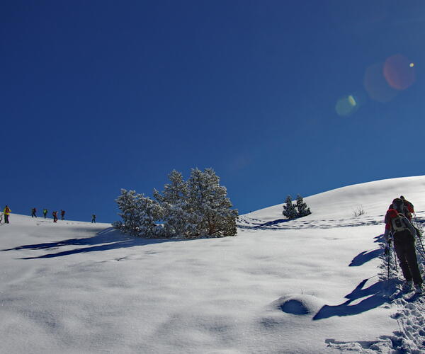 Séjour Réveillon Vercors sauvage