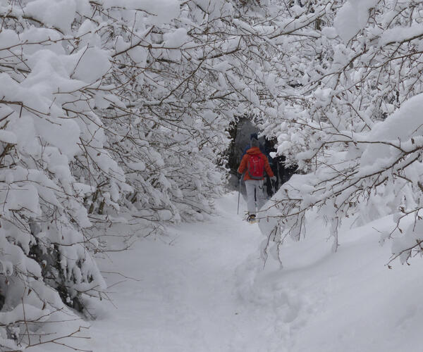 Alpes : Vercors, neiges, raquettes et bien-être