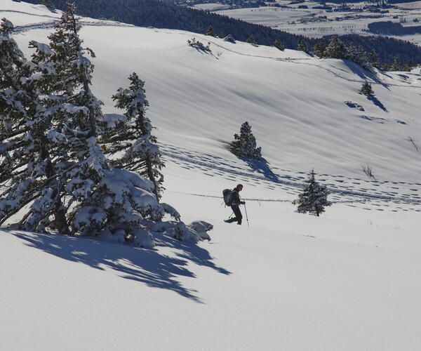 Alpes : Vercors, les essentiels du tour en raquettes