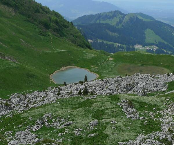 Entre Suisse et France : Sentiers et saveurs du Léman