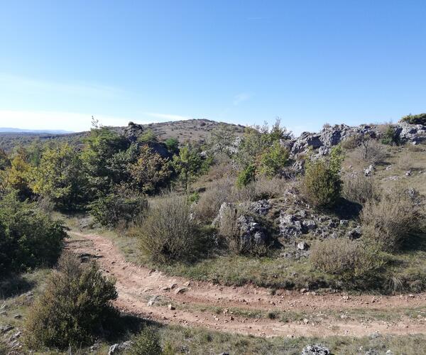 Le Tour du Larzac