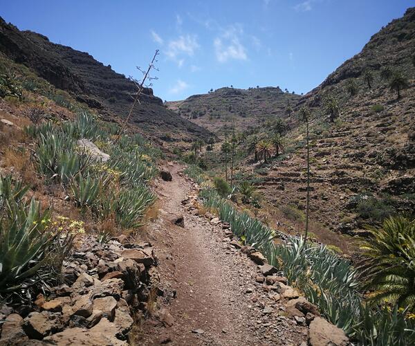 Espagne Canaries : L&#039;île de la Gomera