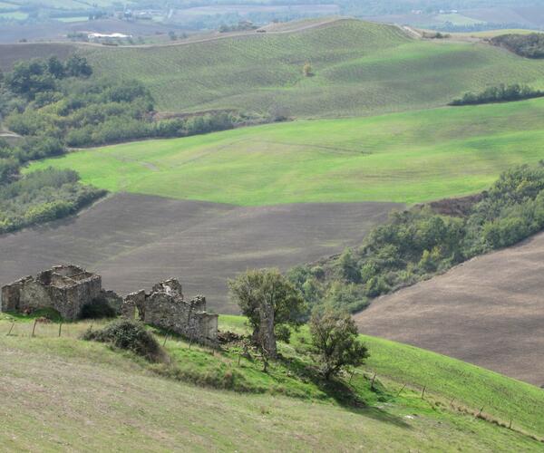 Buonconvento - Montefiascone